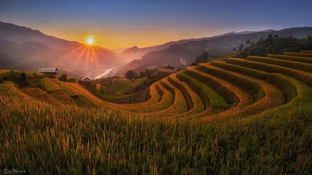 Người H'Mông đã 'vẽ' lên vách núi Mù Cang Chải như thế nào suốt hàng trăm năm qua?
